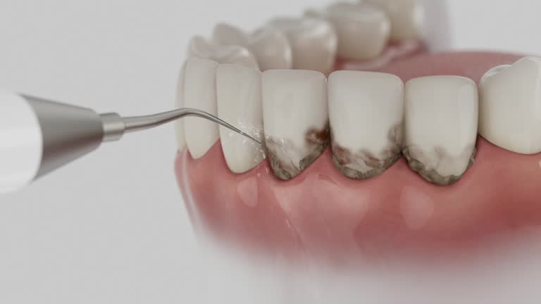 Reliable Dental contractor in Kingston, RI by Dentist Open Now